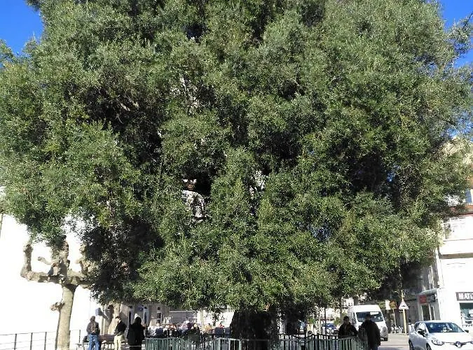 Appartement A Casa Rosa- Atico En El Centro De